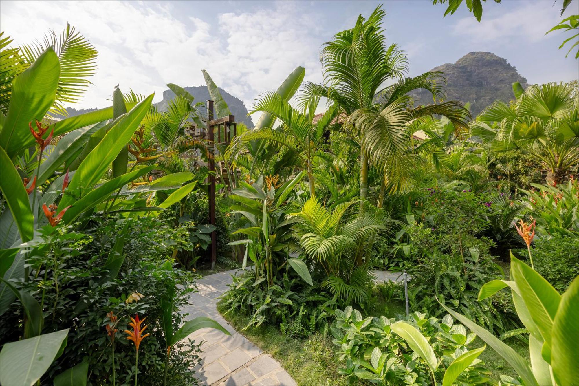 Scenic Mountain Ecolodge Ninh Binh Zewnętrze zdjęcie