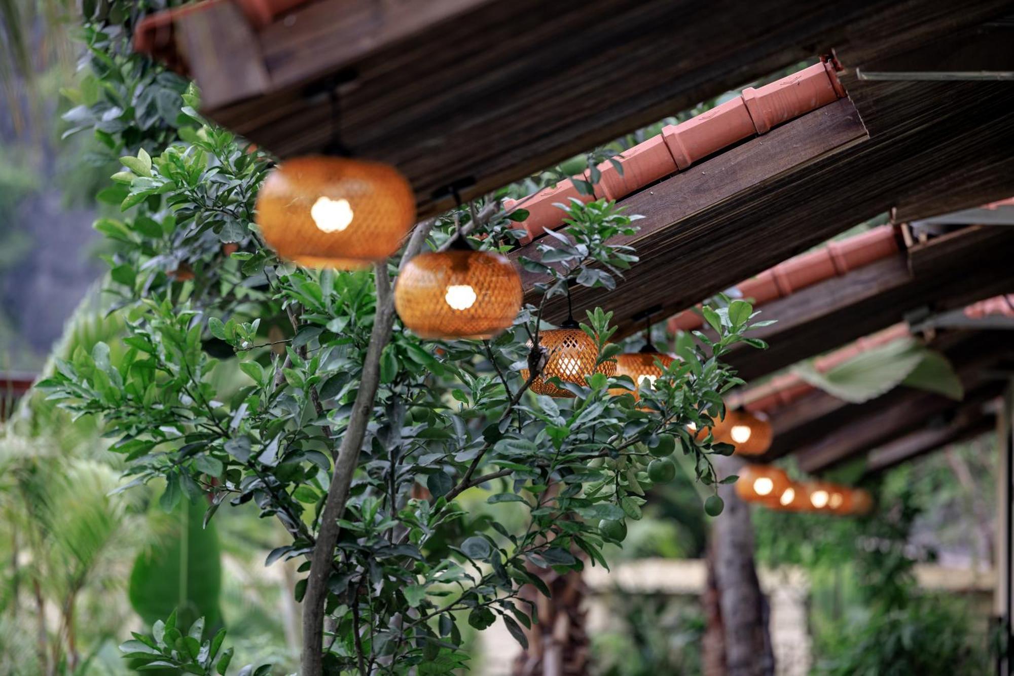 Scenic Mountain Ecolodge Ninh Binh Zewnętrze zdjęcie